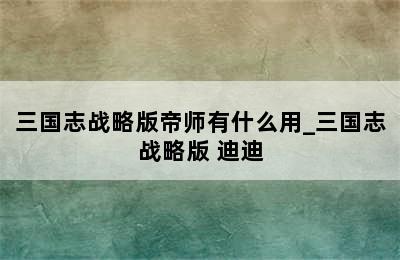 三国志战略版帝师有什么用_三国志战略版 迪迪